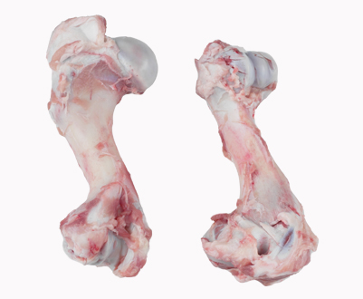 P998 Pork Humorus Bone
